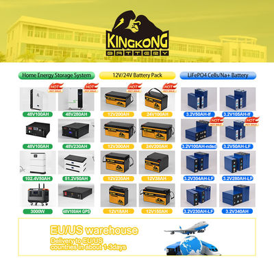 BT ฟังก์ชัน BS 16S 51.2V 100A 200A Smart 48V BMS สําหรับแบตเตอรี่ Lifepo4 และ Rs485 Can Port